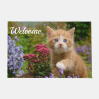 Niedliches Baby-Katzen-Kätzchen, das