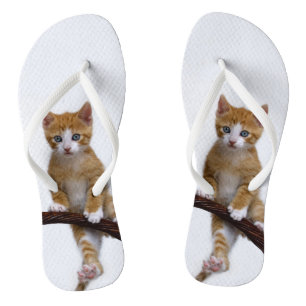 Niedliches Baby-Katzen-Kätzchen-lustiges Badesandalen