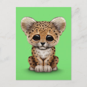 Niedliches Baby Leopard Cube auf Green Postkarte