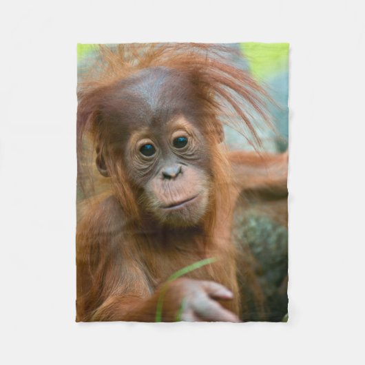 Niedliches Baby Orangutan mit Blick nach vorne Fleecedecke (Vorderseite)