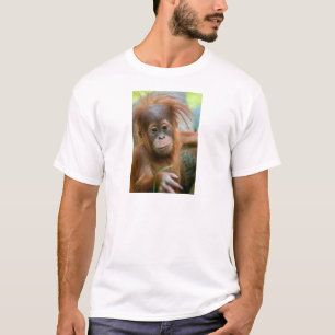 Niedliches Baby Orangutan mit Blick nach vorne T-Shirt