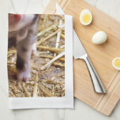 Niedliches Baby Piglet Farm Animals Barnyard Babys Handtuch (Viertel Falte)