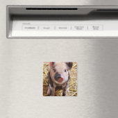 Niedliches Baby Piglet Farm Animals Barnyard Babys Magnet (In Situ (Geschirrspüler))
