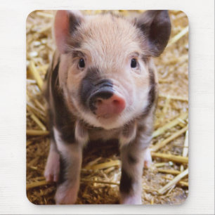 Niedliches Baby Piglet Farm Animals Barnyard Babys Mousepad