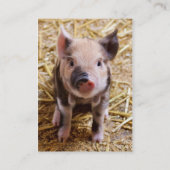 Niedliches Baby Piglet Farm Animals Barnyard Babys Visitenkarte (Rückseite)