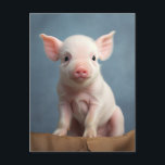 Niedliches Baby Schweine - Funny Farm Animes Postkarte<br><div class="desc">Niedliches Baby Schweine - Funny Farm Animes</div>