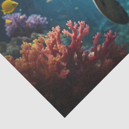 Niedliches Baby-Siegel Nah-up - Entkundung - Seidenpapier (Detail)