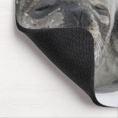 Niedliches Baby-Siegel und Mama Personalisierte Ma Mousepad (Ecke)