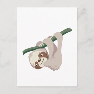 Niedliches Baby-Sloth auf einer Zweigniederlassung Postkarte