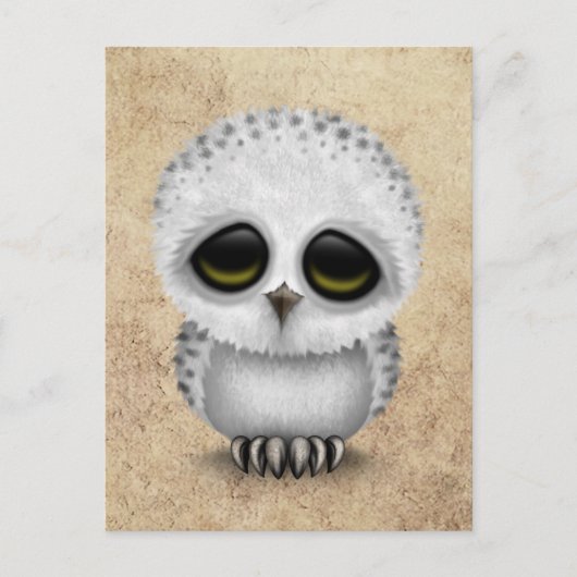 Niedliches Baby Snowy Owl Chic auf Age Texture Postkarte (Vorderseite)