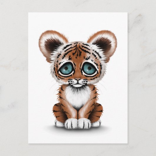 Niedliches Baby Tiger Cube mit blauen Augen auf We Postkarte (Vorderseite)