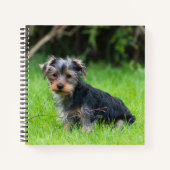 Niedliches Baby Yorkshire Terrier Welpe traurige A Notizblock (Vorderseite)