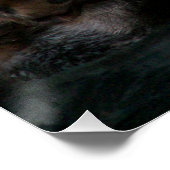 Niedliches Bademeer Glossy fotografisch Poster (Ecke)