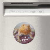 Niedliches Bartdrachenbild Magnet (In Situ (Geschirrspüler))