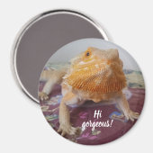 Niedliches Bartdrachenbild Magnet (Vorderseite/Rückseite)