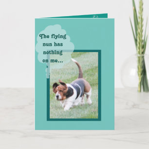 Niedliches Basset Hound auf der Sonntagskarte Karte