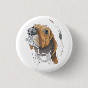 Niedliches Basset Hound Nah Button