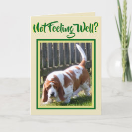 Niedliches "Basset Hound" W/Daisy auf "Get Well"-K Karte