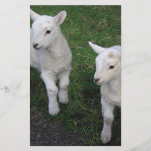 Niedliches Bauernhof-Ranch-Baby paart Schaf-Lamm Briefpapier