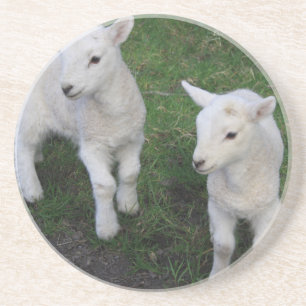 Niedliches Bauernhof-Ranch-Baby paart Schaf-Lamm Getränkeuntersetzer