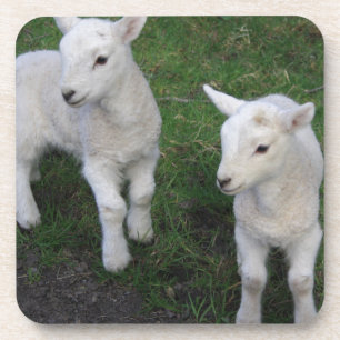 Niedliches Bauernhof-Ranch-Baby paart Schaf-Lamm Getränkeuntersetzer