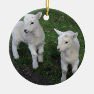 Niedliches Bauernhof-Ranch-Baby paart Schaf-Lamm Keramik Ornament