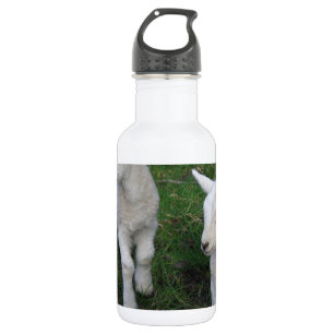 Niedliches Bauernhof-Ranch-Baby paart Schaf-Lamm Trinkflasche