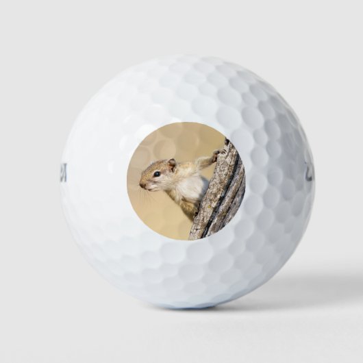 Niedliches Baumeichhörnchen-Foto Golfball (Vorderseite)