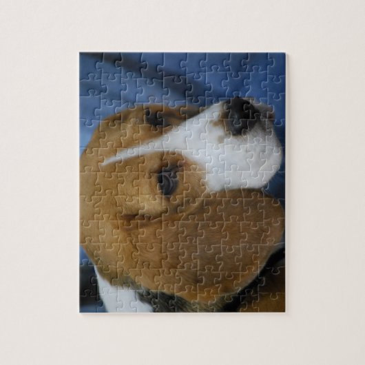 Niedliches Beagle-Puzzlespiel Puzzle (Vertikal)
