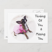 Niedliches, bedrucktes Chihuahua-Mädchen Postkarte (Vorne/Hinten)