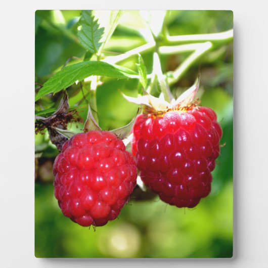 Niedliches Beeren Foto Himbeeren BlackBerry Obst Fotoplatte (Vorderseite)