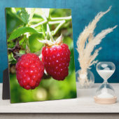 Niedliches Beeren Foto Himbeeren BlackBerry Obst Fotoplatte (Seite)