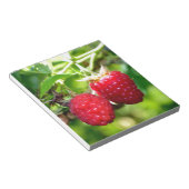 Niedliches Beeren Foto Himbeeren BlackBerry Obst Notizblock (angewinkelt)