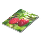 Niedliches Beeren Foto Himbeeren BlackBerry Obst Notizblock (Rotiert)