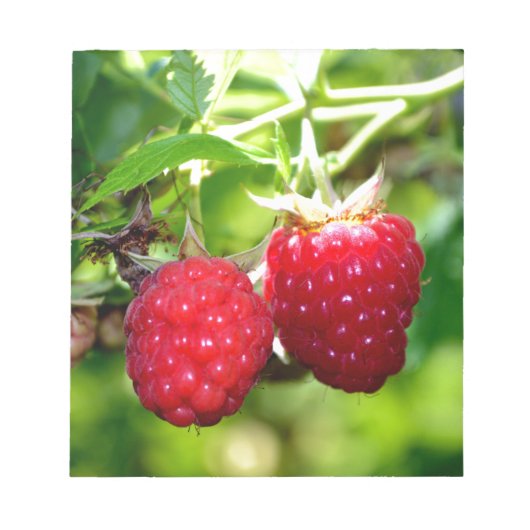 Niedliches Beeren Foto Himbeeren BlackBerry Obst Notizblock (Vorderseite)