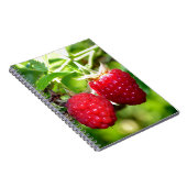 Niedliches Beeren Foto Himbeeren BlackBerry Obst Notizblock (Rechte Seite)