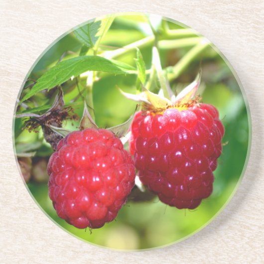 Niedliches Beeren Foto Himbeeren BlackBerry Obst Sandstein Untersetzer (Vorne)