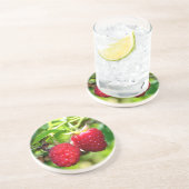 Niedliches Beeren Foto Himbeeren BlackBerry Obst Sandstein Untersetzer (Seite)