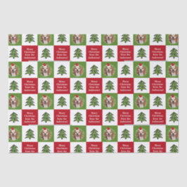 Niedliches Begleiter Foto Roter Grüner Weihnachtsb Seidenpapier