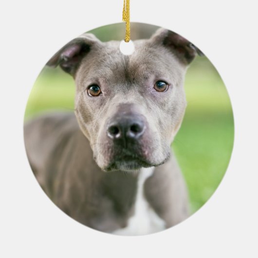 Niedliches Begleitheitskript Liebe Typografie Keramik Ornament (Hinten)