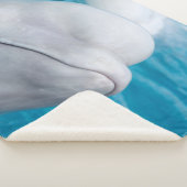 Niedliches Beluga-Wal-Tier Sherpadecke (3/4)
