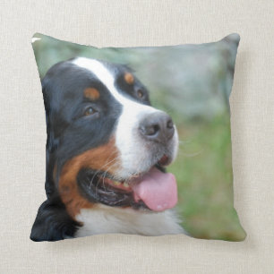 Niedliches Bernese Kissen