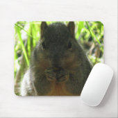 Niedliches Bild eines kleinen Eichhörnchens, das Mousepad (Mit Mouse)