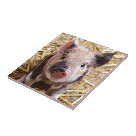 Niedliches Bild eines Säuglings Fliese (Seite)