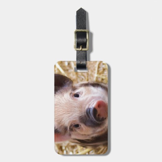 Niedliches Bild eines Säuglings Gepäckanhänger (Vorderseite vertikal)