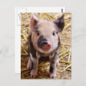 Niedliches Bild eines Säuglings Postkarte (Vorne/Hinten)