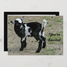 Niedliches Black and White Baby Goat Foto Geburtst Einladung