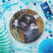 Niedliches Black Baby Goat Eating Hay Foto Pappteller (Party)