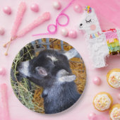 Niedliches Black Baby Goat Eating Hay Foto Pappteller (Party)