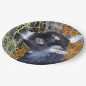 Niedliches Black Baby Goat Eating Hay Foto Pappteller (Schrägansicht)